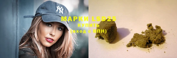 дмт Вяземский