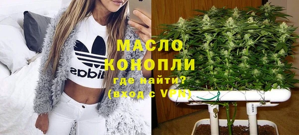 дмт Вяземский