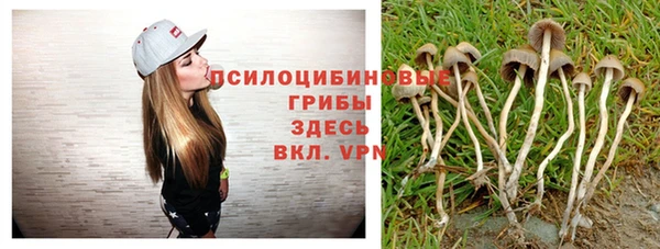 дмт Вяземский