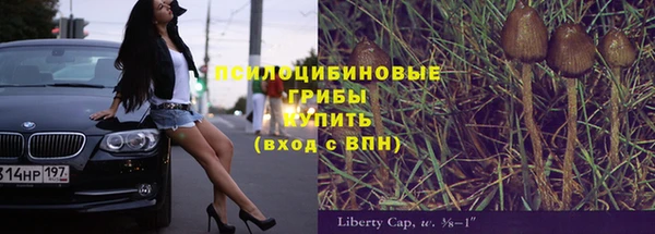 дмт Вяземский