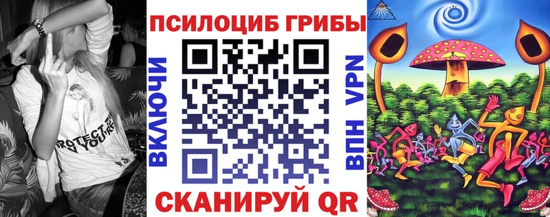 Галлюциногенные грибы MAGIC MUSHROOMS  как найти   Чапаевск 