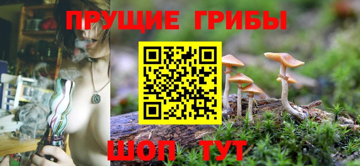 цена наркотик  Вход с VPN  Чапаевск  Псилоцибиновые грибы ЛСД  Псилоцибиновые грибы ЛСД 