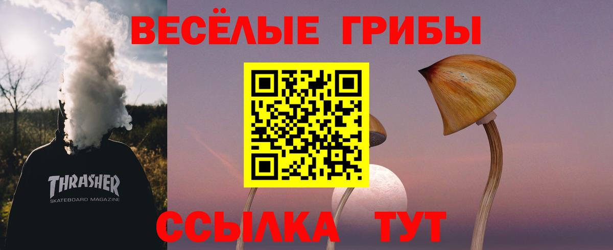 Галлюциногенные грибы Psilocybine cubensis Чапаевск