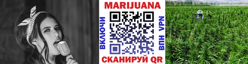 МАРИХУАНА сатива  наркошоп  Чапаевск 